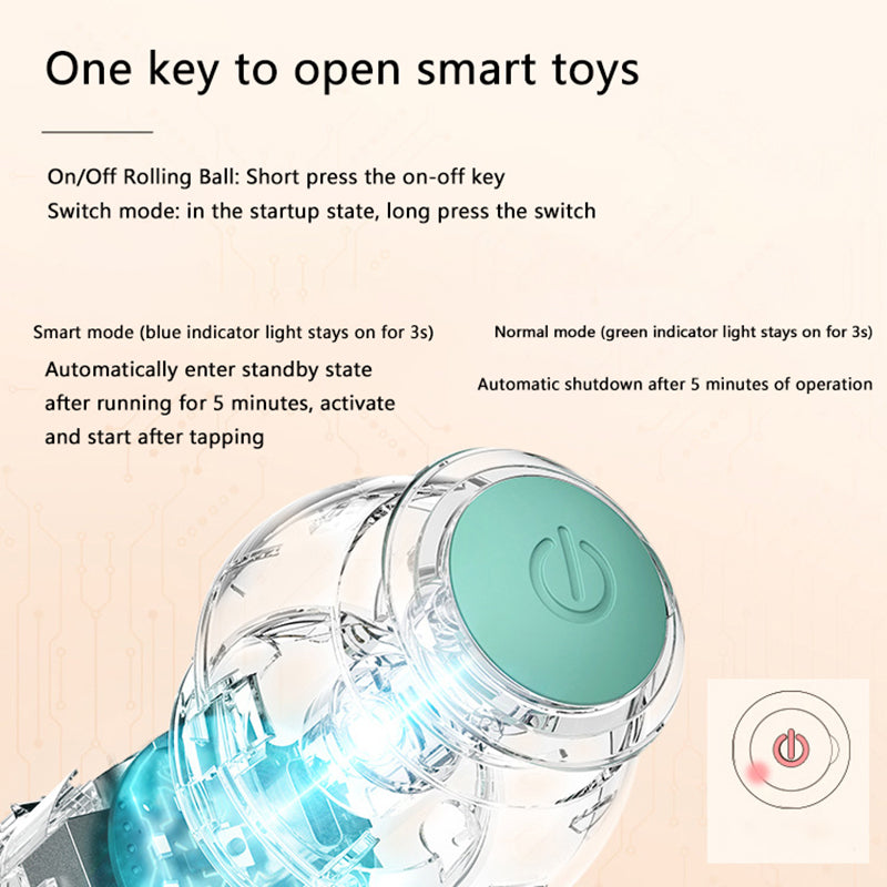 Cat Interactive Ball