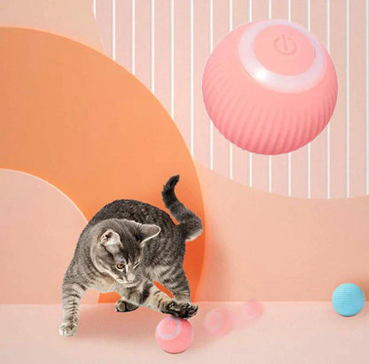 Cat Interactive Ball