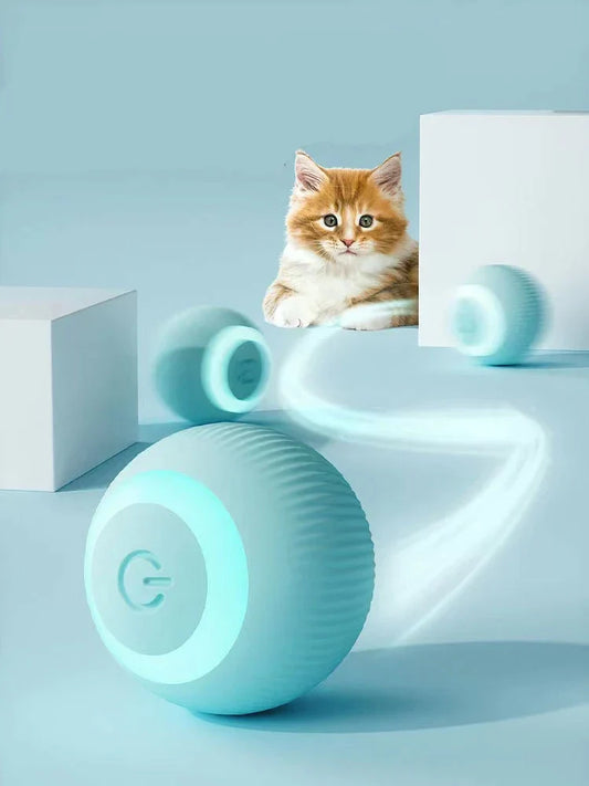 Cat Interactive Ball