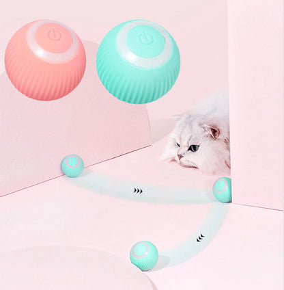 Cat Interactive Ball